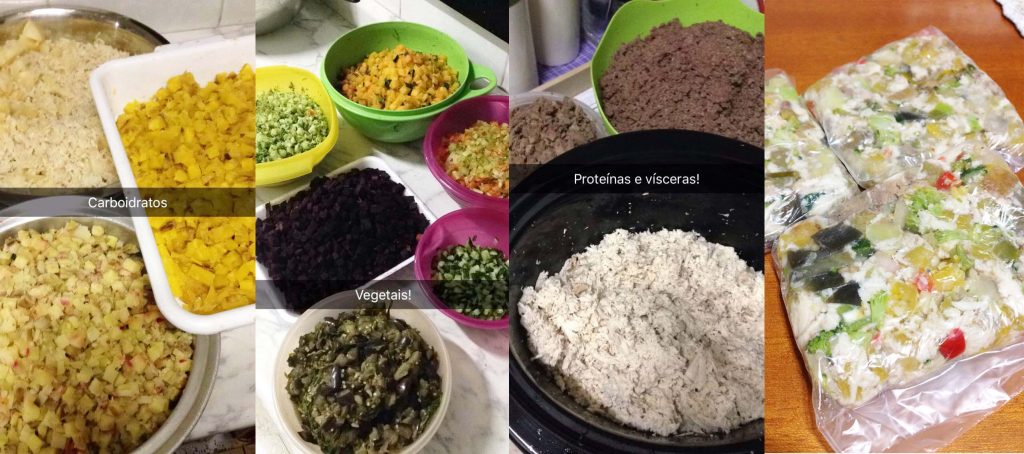 ALIMENTAÇÃO NATURAL PARA CÃES